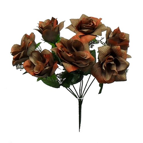 Open rose pack - open, of