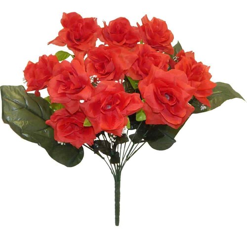 Open rose bush stems - open,